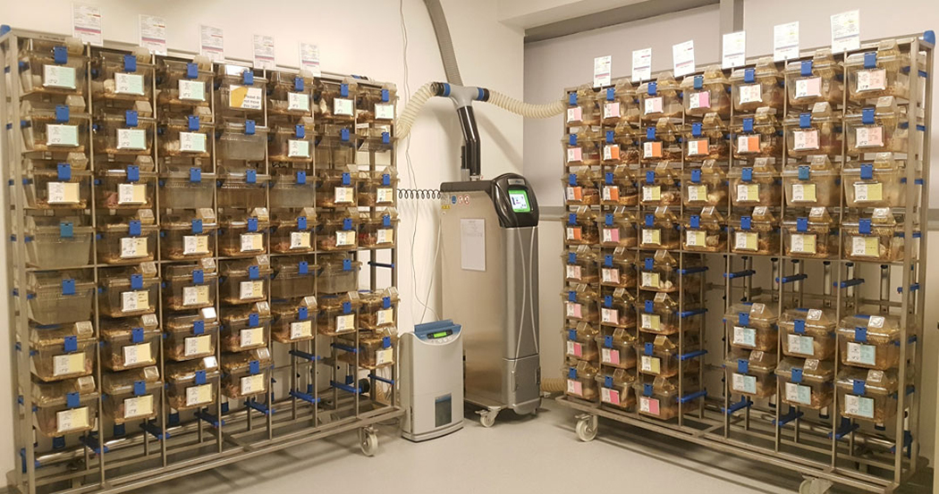 醫(yī)學(xué)實驗室  動物房案例  精鋒醫(yī)療