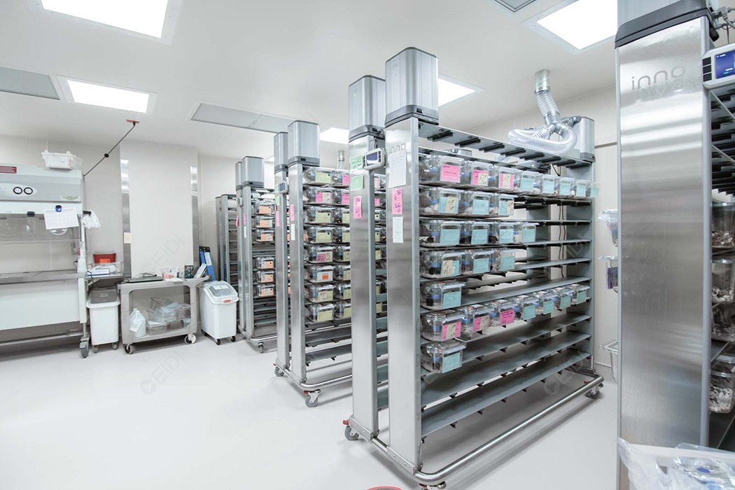 PD-1抗體 nofazinlimab治療晚期實(shí)體瘤首次人體試驗成果在BJC期刊發(fā)表