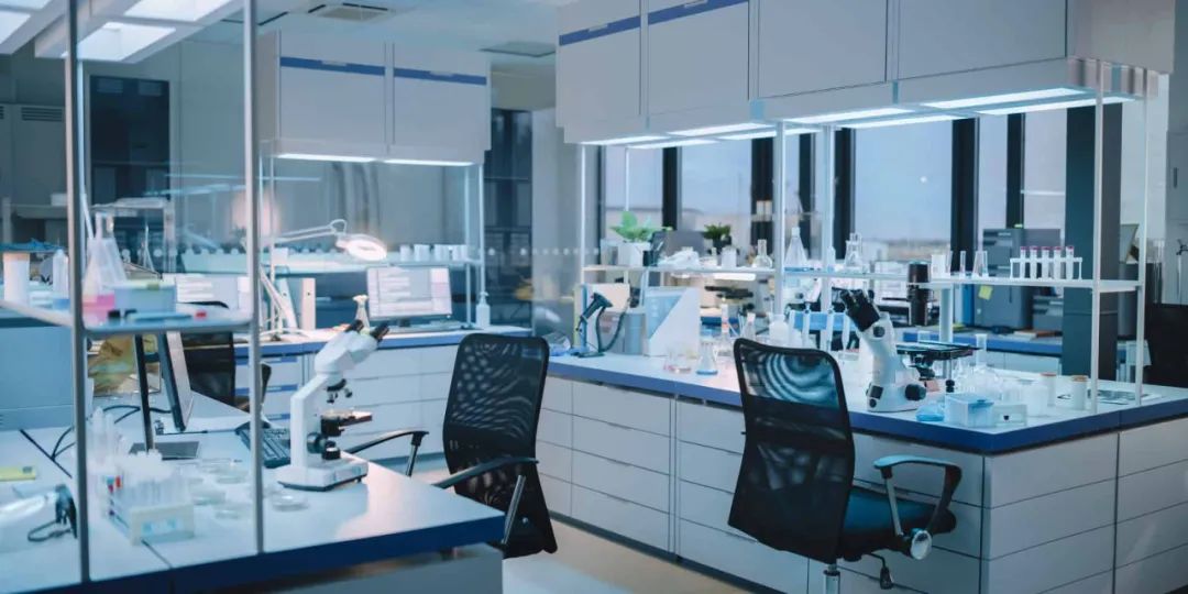 “分子膠水”賦予T細胞免疫監(jiān)視“超能力”