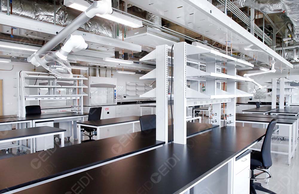 解讀《關(guān)于阿拉伯木聚糖等8種“三新食品”的公告》（2024年　第３號）