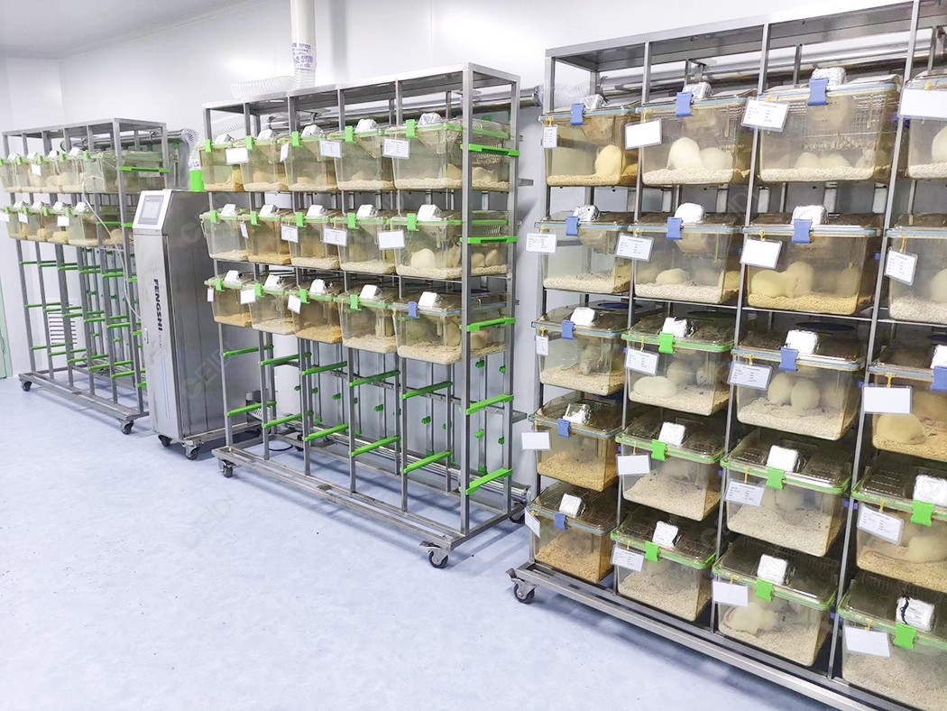 實(shí)驗(yàn)動(dòng)物研究：標(biāo)準(zhǔn)化模式動(dòng)物實(shí)驗(yàn)室建設(shè) CEIDI西遞